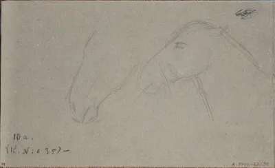 Hevosen päät. Todenmäköisesti n. 1910.