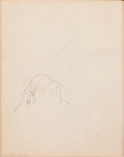 Hevosen takajalat, sutattu