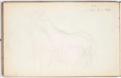 Hevoset. Todennäköisesti n. 1908-09