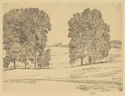 Hickories in a Hayfield
