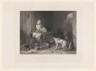 Hiërarchie van honden in een schuur