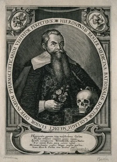 Hieronymus Besler