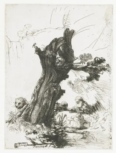 Hieronymus bij de knotwilg