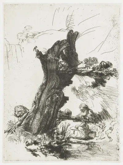 Hieronymus bij de knotwilg