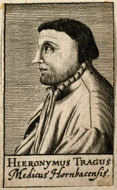 Hieronymus Bock [Tragus]