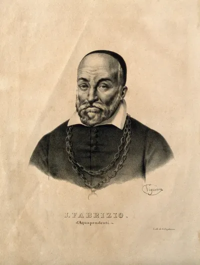 Hieronymus Fabricius of Aquapendente