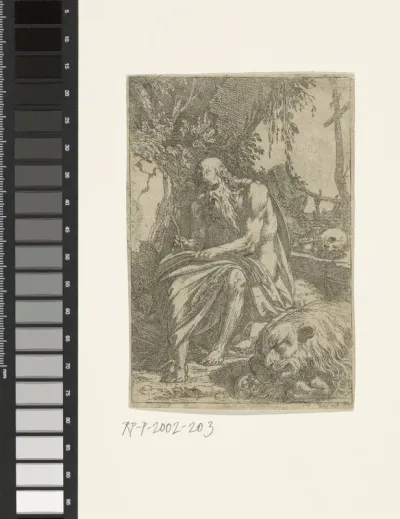 Hieronymus in de wildernis