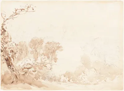 Hillside and Trees