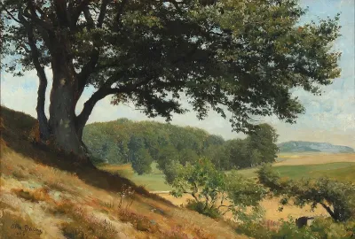 Hilly Danish summer landscape.