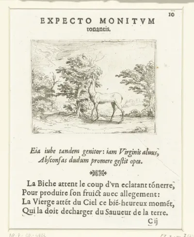 Hinde in een bos