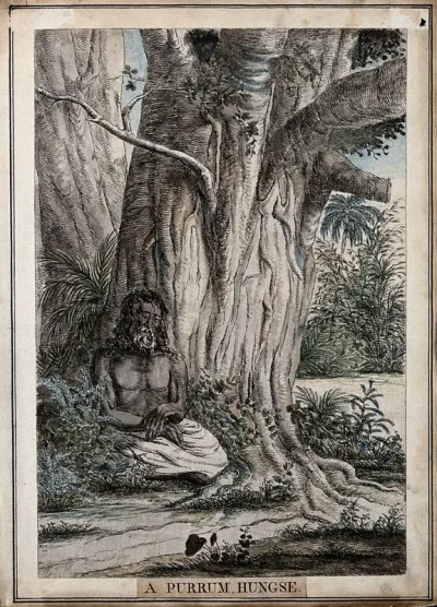 Hindu ascetic seated under a tree, near Calcutta, West Bengal
