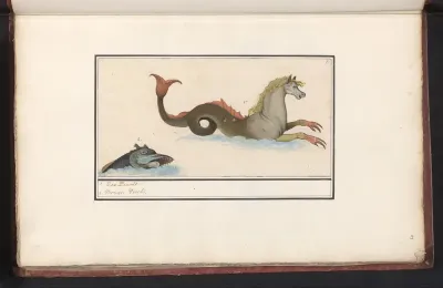 Hippocampus en vis (fantasiedieren)