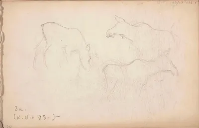Hirvet. Todennäköisesti 1905-08
