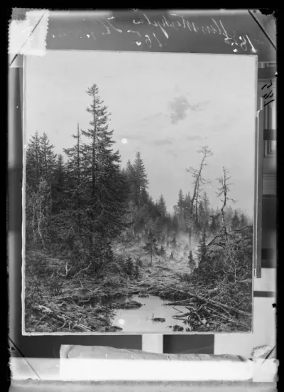 Hjalmar Munsterhjelm: "Keskikesä" n. vuodelta 1890