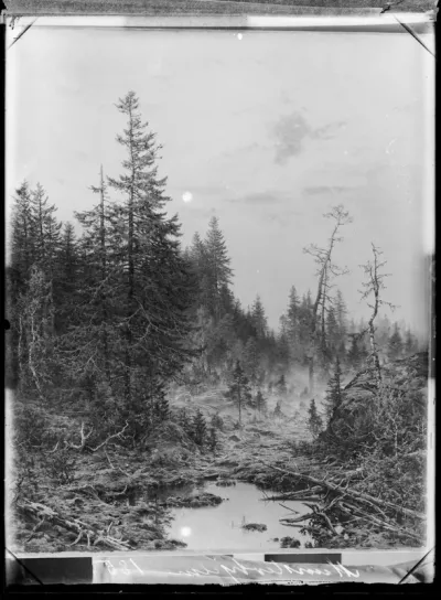Hjalmar Munsterhjelm: "Keskikesä" vuodelta 1890