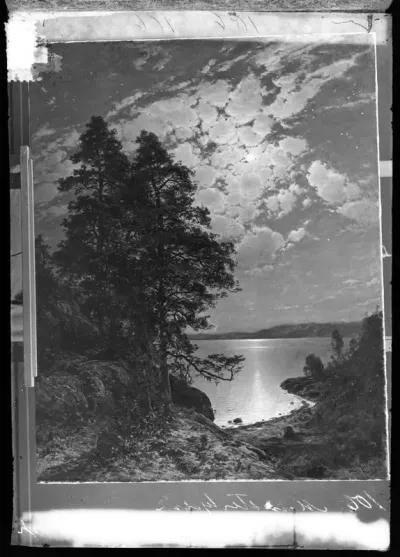 Hjalmar Munsterhjelm: "Kuutamomaisema (Kuuvalomaisema; Månskenslandskap)" vuodelta 1883