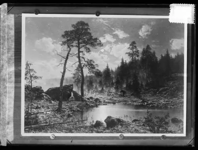 Hjalmar Munsterhjelm: "Metsälampi", ajoitus 1889-1899