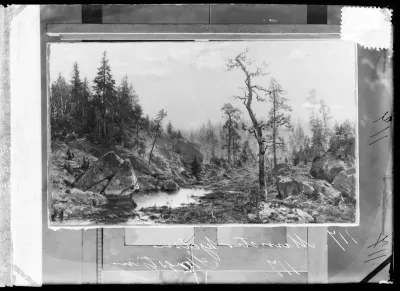Hjalmar Munsterhjelm: "Metsälampi (Korpimaata)", ajoitus n. 1883-1889