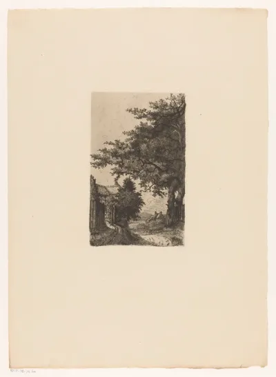 Hoge bomen en huisjes langs pad