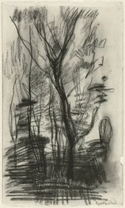 Hoge bomen