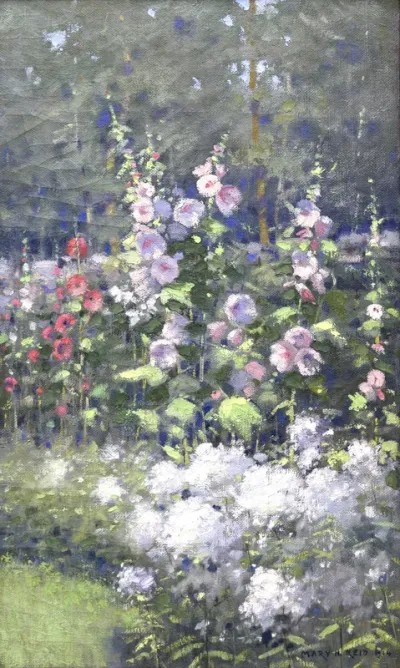 Hollyhocks