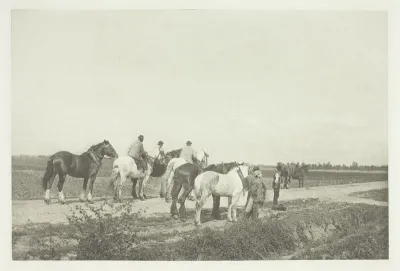 Homewards from Plough
