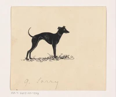Hond