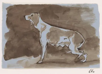 Hond