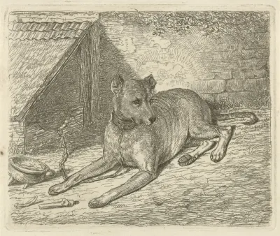 Hond aan een ketting bij een hondenhok