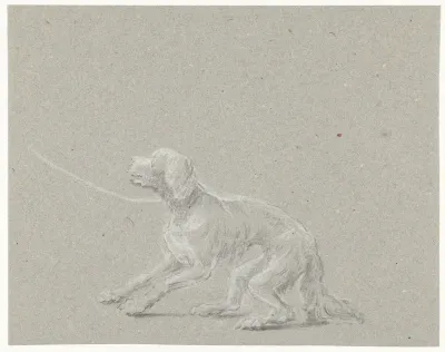Hond aan een riem