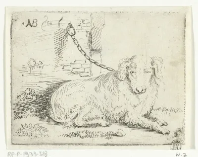 Hond aan ketting
