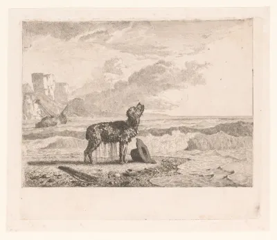 Hond aangespoeld op het strand na schipbreuk