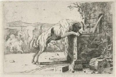 Hond bij een fontein