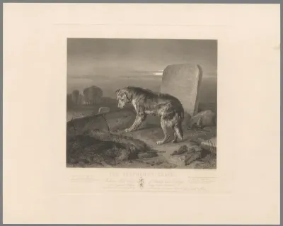 Hond bij het graf van de herder