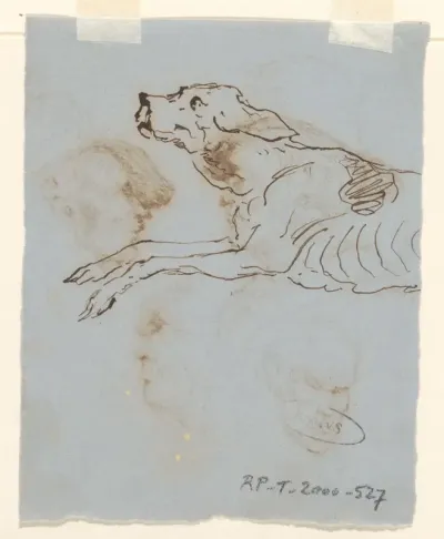 Hond (fragment)