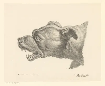 Hond met opengesperde bek