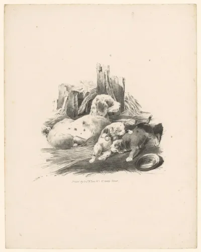 Hond met twee puppies