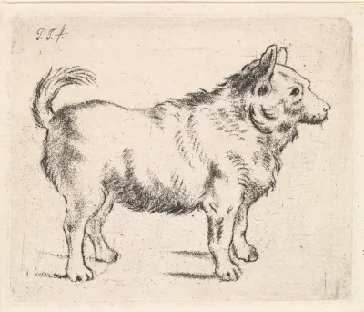 Hond naar rechts