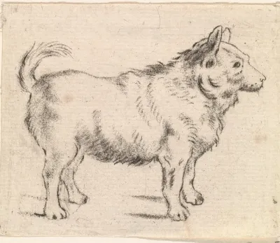 Hond naar rechts