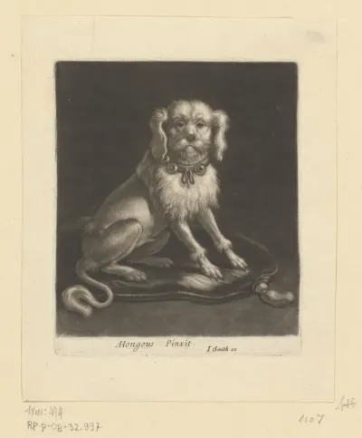 Hond op een kussen