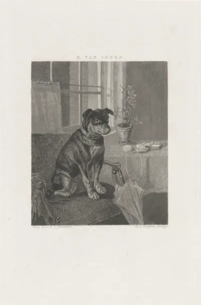 Hond op een stoel
