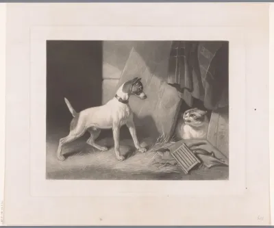 Hond schrikt van boze kat