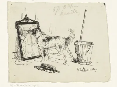 Hond snuffelt aan een spiegel