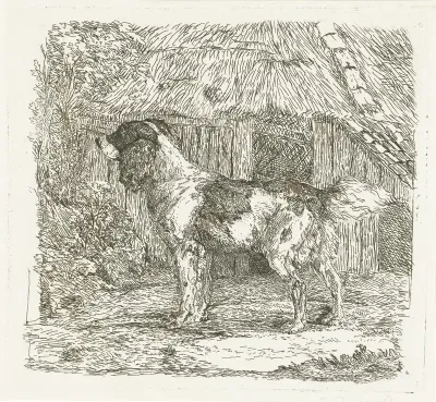 Hond staand bij hok