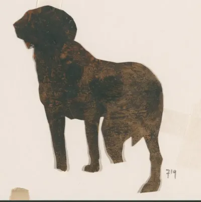 Hond (uitgeknipt)