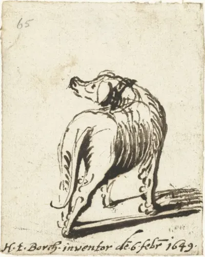 Hond, van achteren