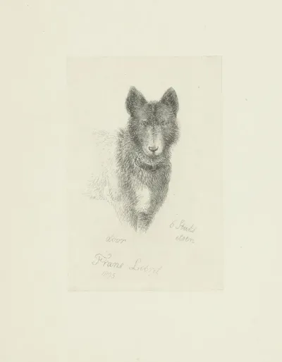 Hond van voren