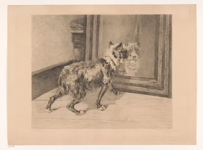 Hond voor een spiegel