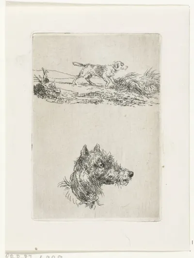 Hondekop en hond in landschap