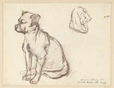Honden
